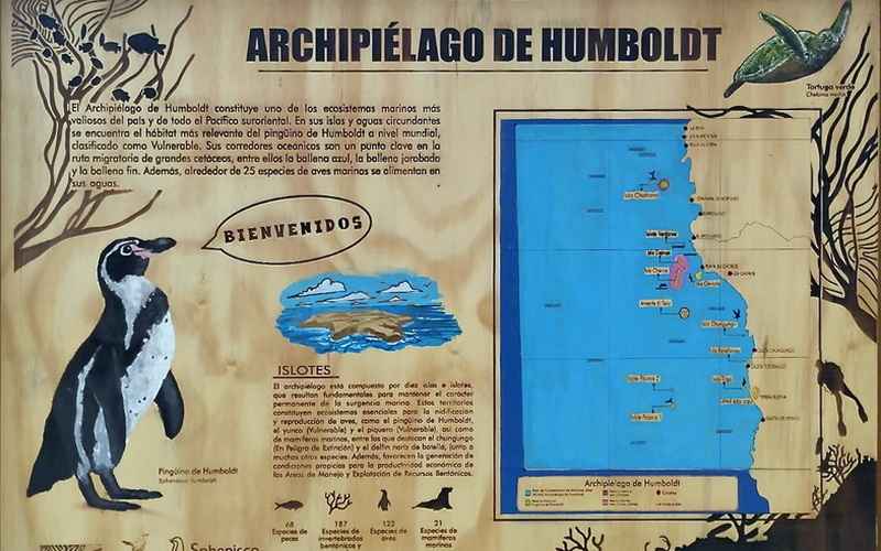 InfoPoint Yerba Buena - Informationen